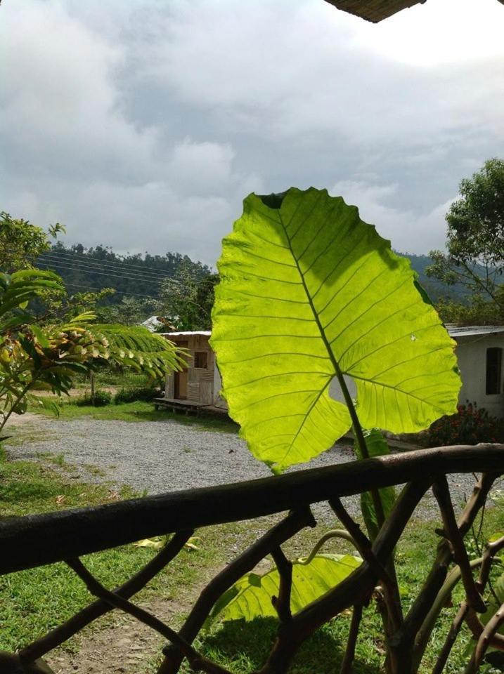 Hosteria Mindo Samay Juku Buitenkant foto